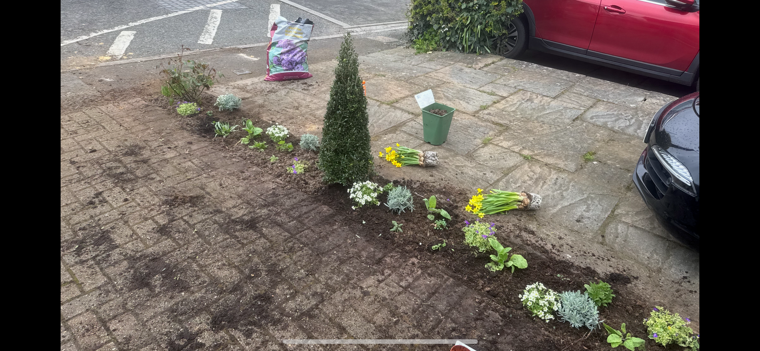Gardener planting flowers in a garden bed