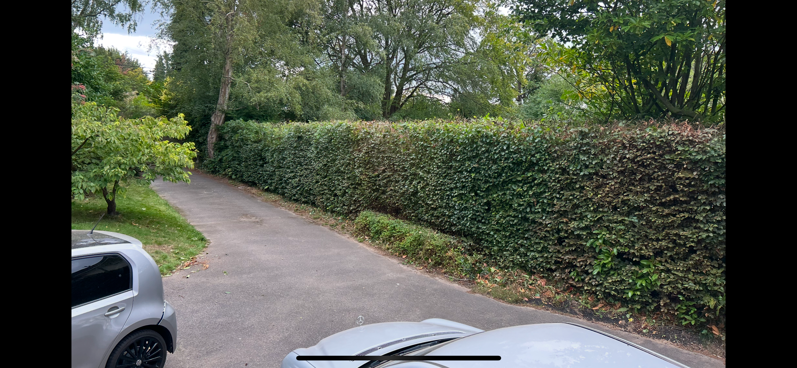 Established hedge lining a residential driveway at Badgers Mount